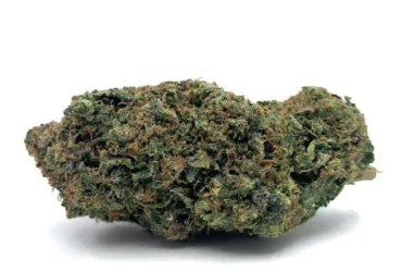 el chapo nug