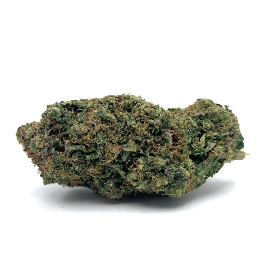 el chapo nug