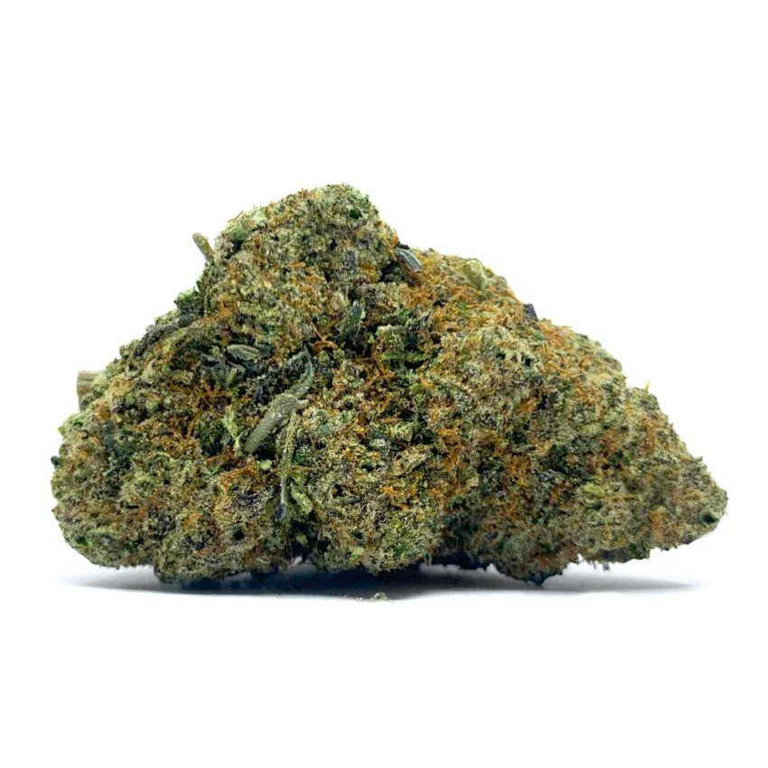 Gary Payton Nug