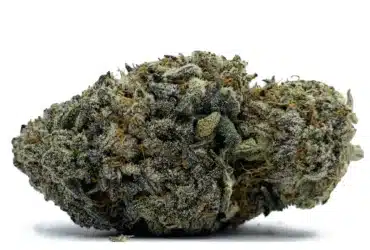 Khalifa Kush Nug