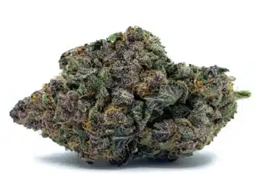 Purple Cotton Candy Nug