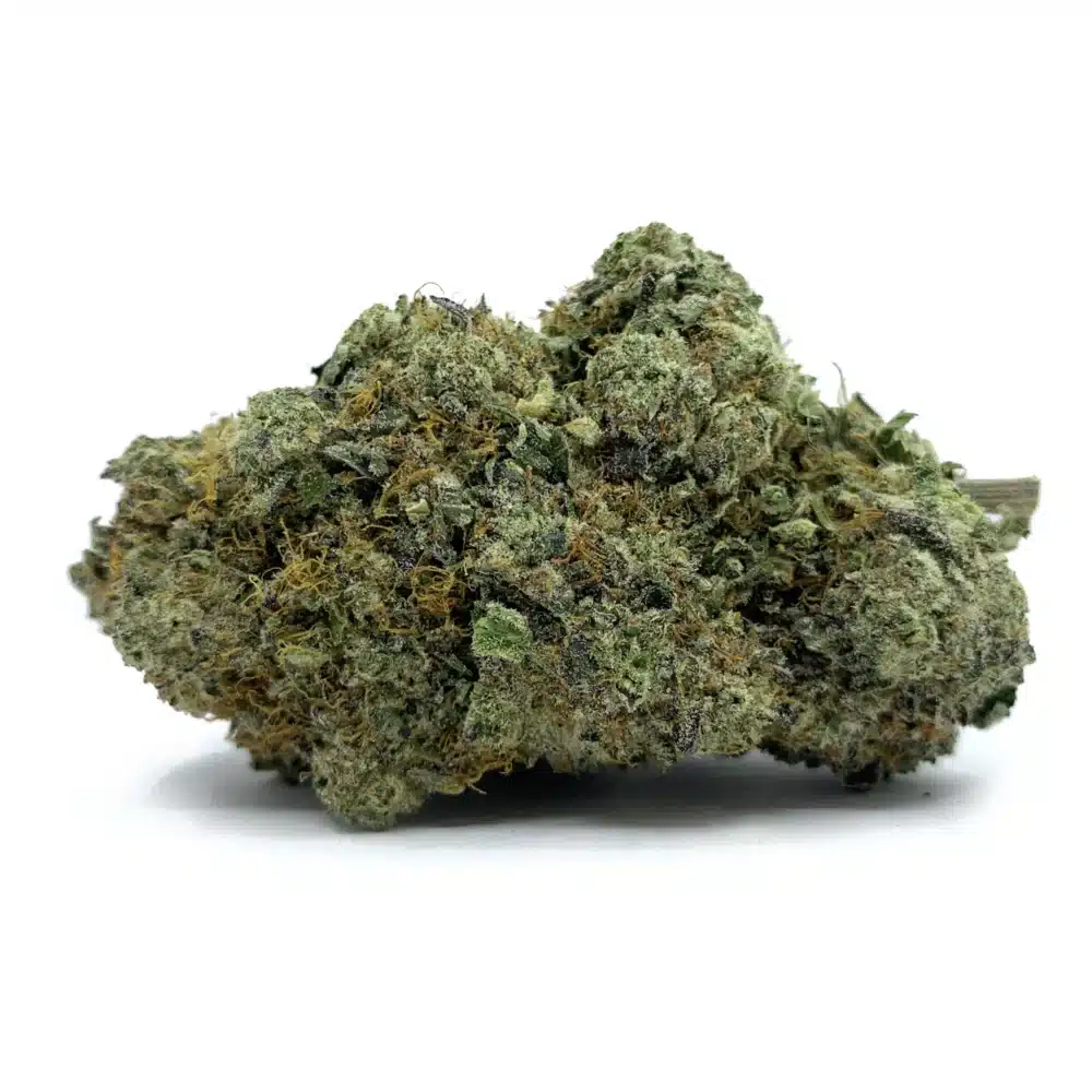 Purple Mimosa Nug