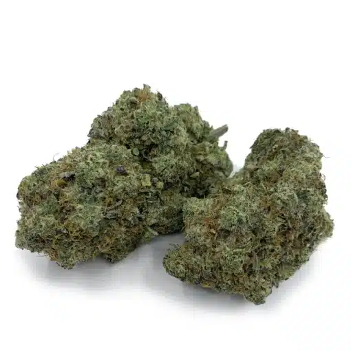 Purple Mimosa 2 Nugs