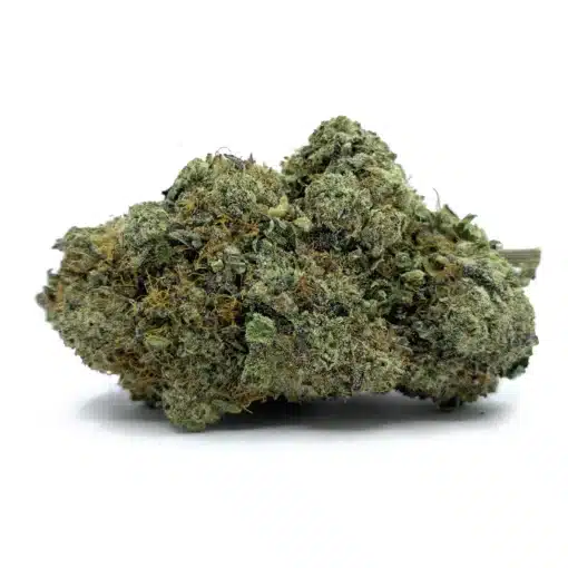 Purple Mimosa Nug