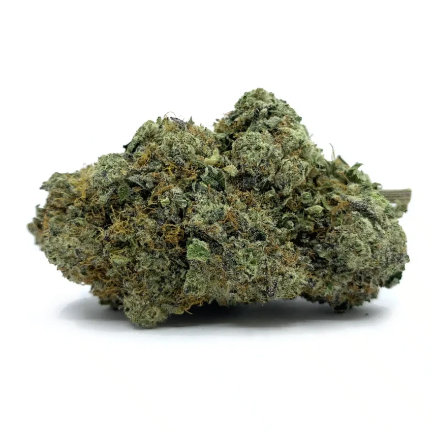 Purple Mimosa Nug