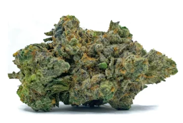 Purple Tangie Flower Nug