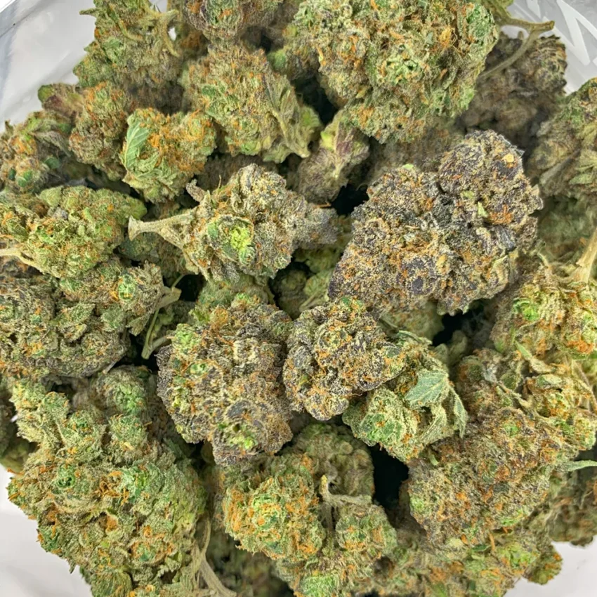 Purple Tangie Bulk Flower
