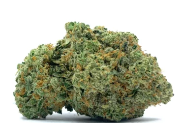 Rainbow Gusher Nug