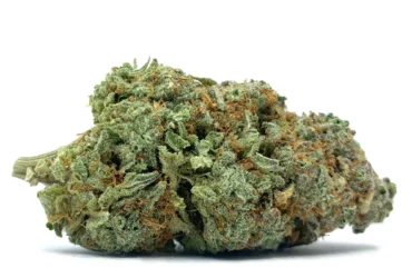 Tropic Thunder Weed Nug
