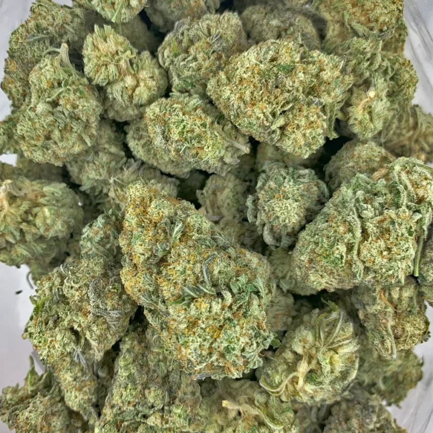 Wedding Crasher Bulk Flower