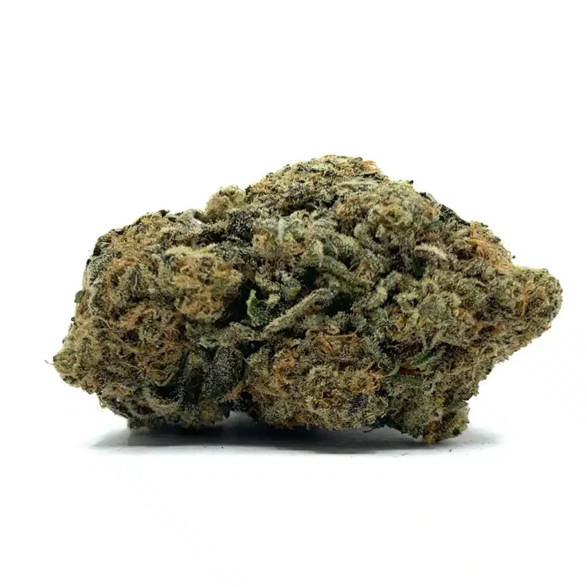 Cookie Monster