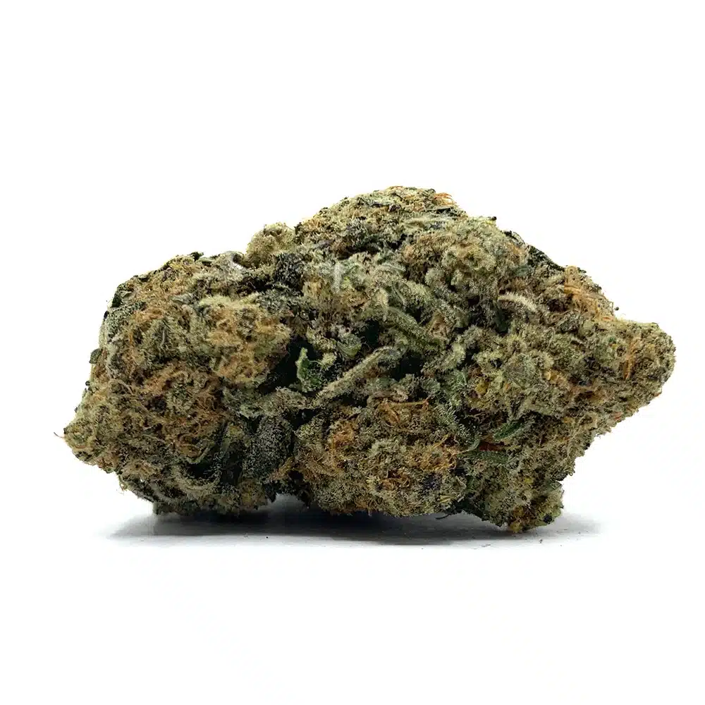Cookie Monster