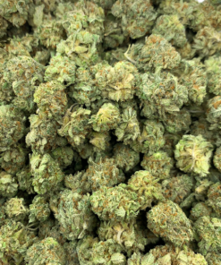 grease monkey full shot