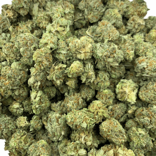 grease monkey full shot