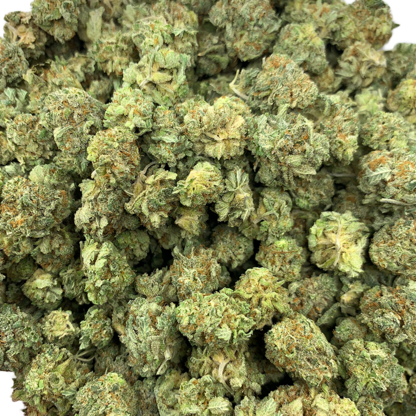grease monkey full shot