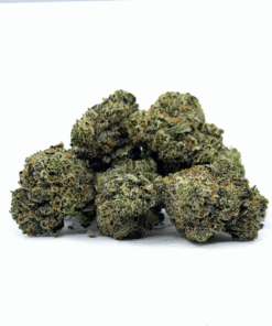 Biscotti Cannabis Nugs