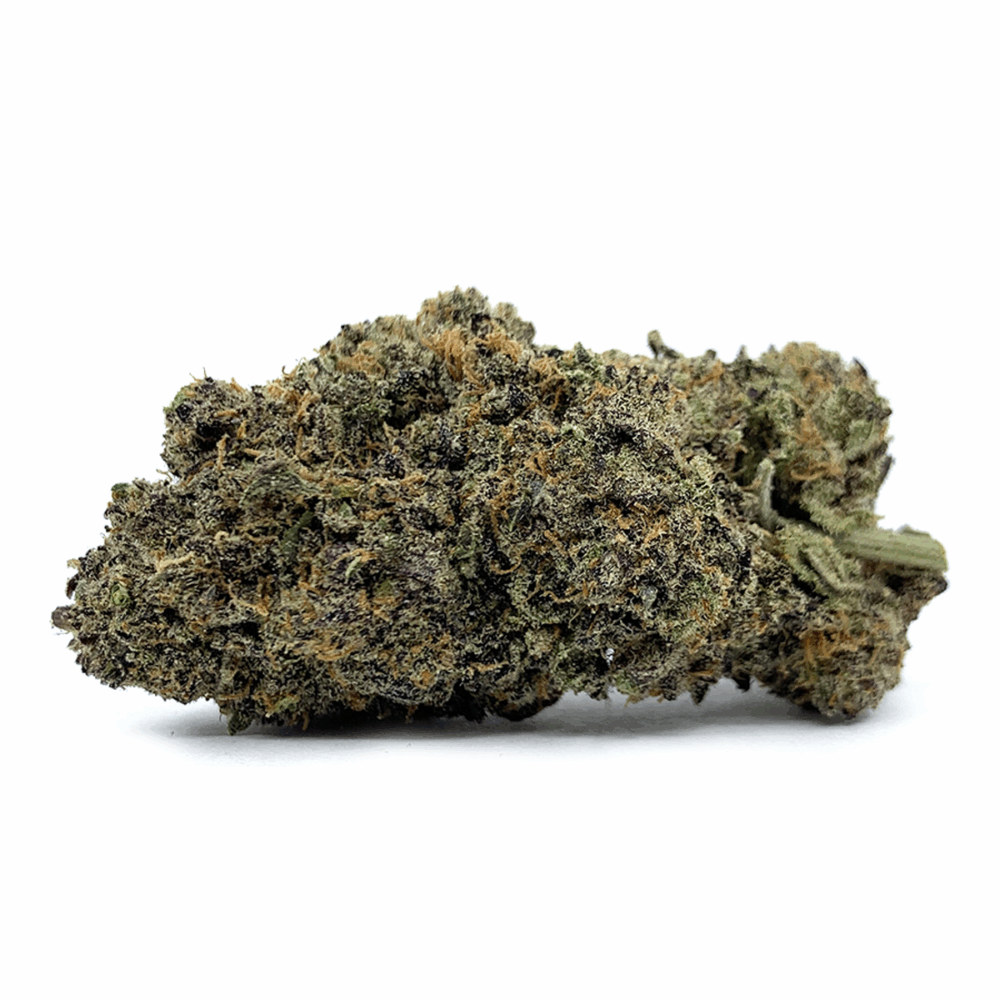 purple haze nug