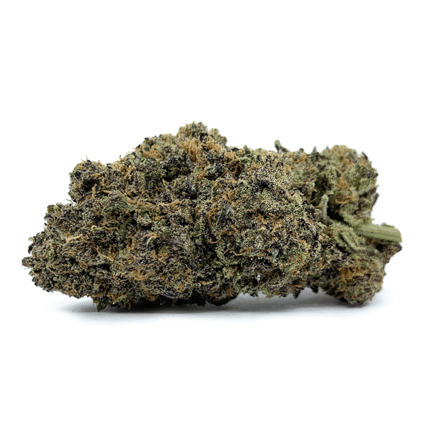 purple haze nug