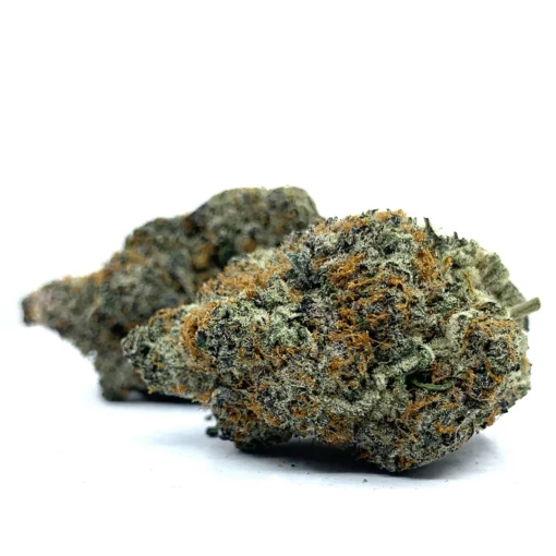 Alternative view of Blue Octane