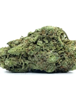 Dutch Crunch - 28g