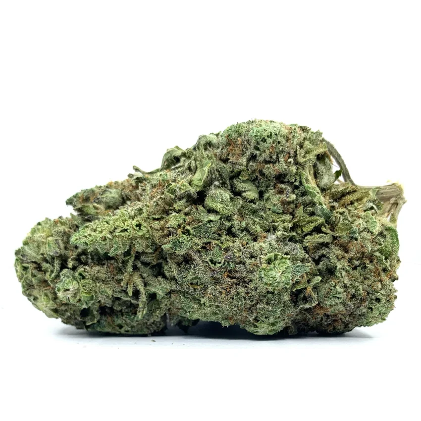 Dutch Crunch - 28g