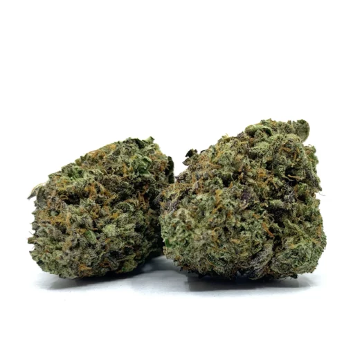 Alternative view of Gas Chamber