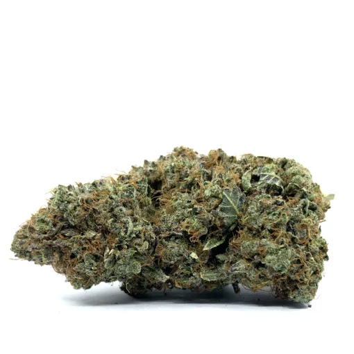 Ice Cream Float - 28g