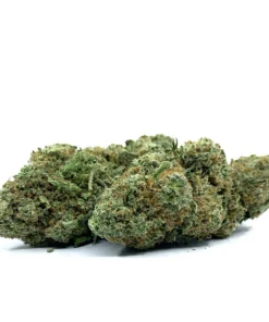 Alternative view of Mint Chocolate Gelato - 28g