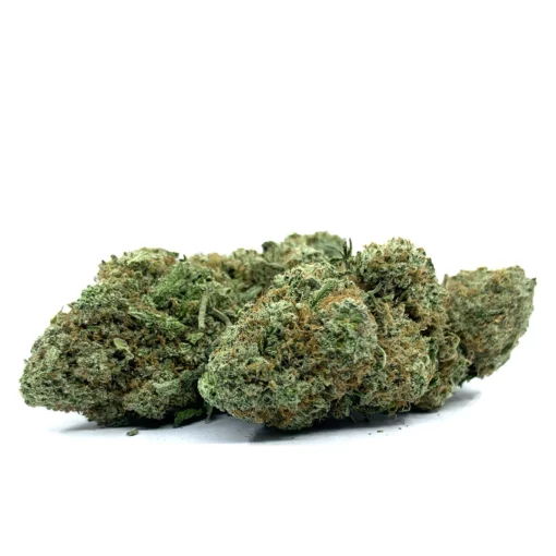 Alternative view of Mint Chocolate Gelato - 28g