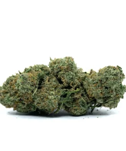 Mint Chocolate Gelato - 28g