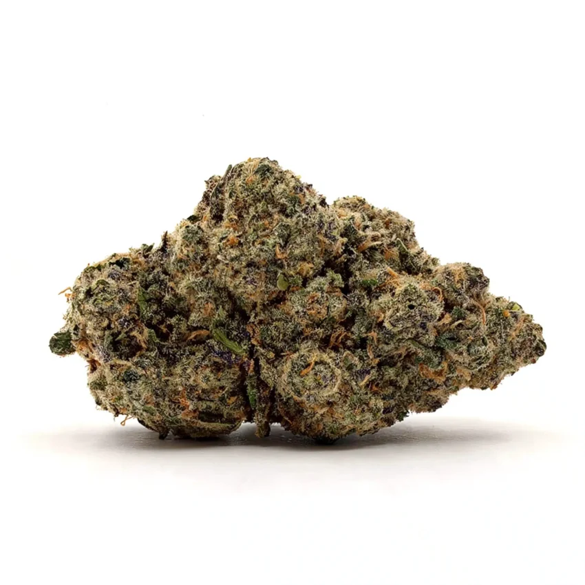 Sunkist Tangie