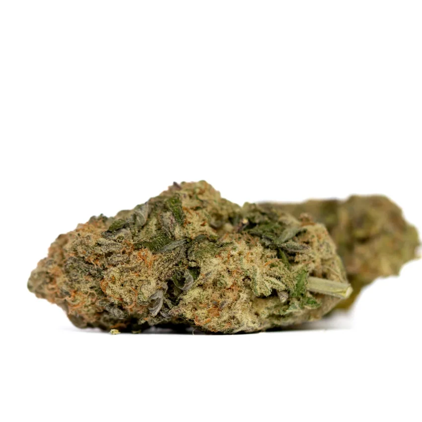 Grape Biscotti Strain