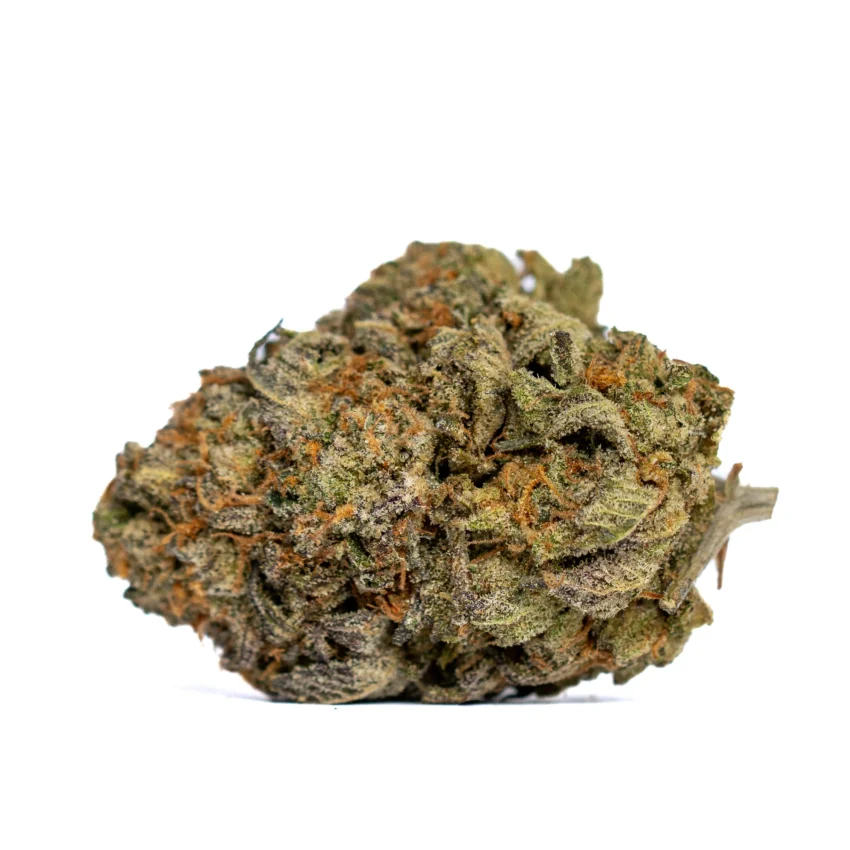 Key Lime Pie Strain