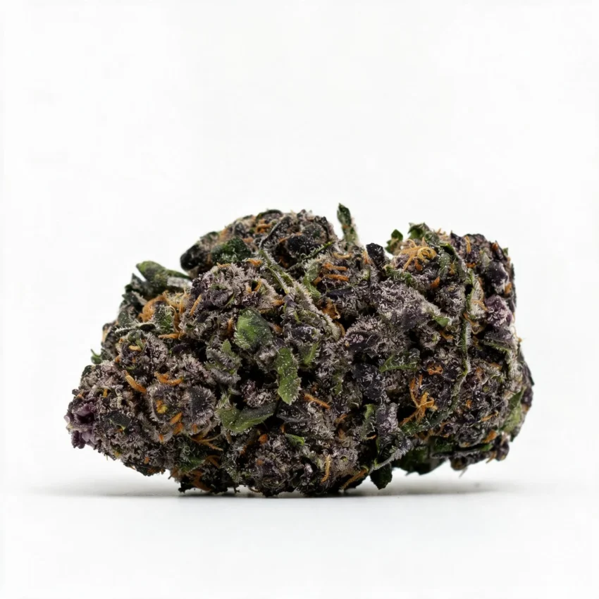 Berry Cream Puff